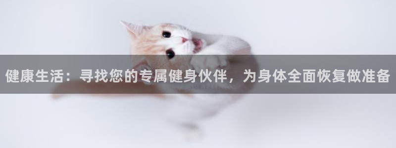 k1体育网址是多少