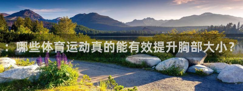 k1体育链接多少