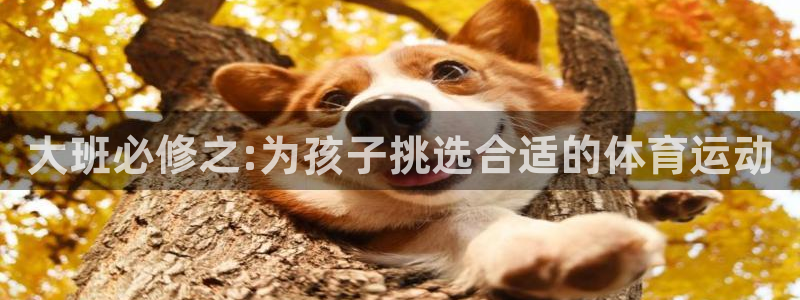 k1体育app下载链接