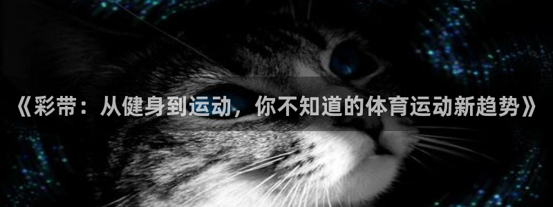 k1体育入口