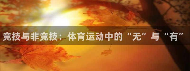 k1体育网址是多少