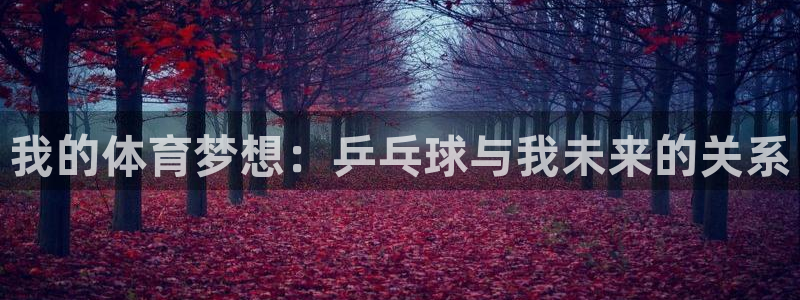 k1体育十年品牌值得信赖网址